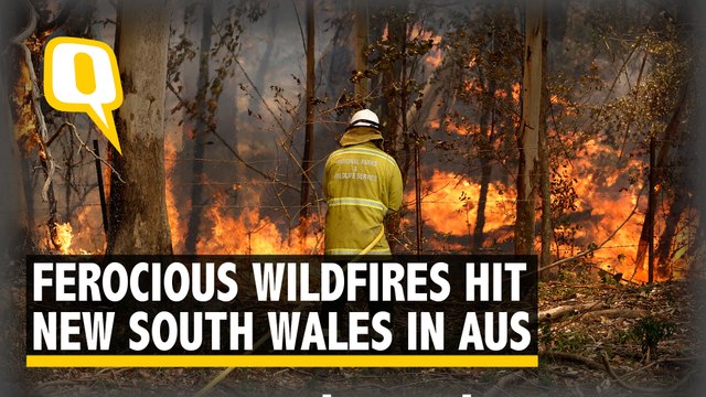 Wildfires Hit Australia's NSW: 200 Homes Destroyed, Intensity Level 'Emergency'