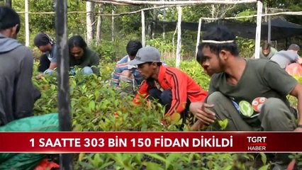 GUINNESS Fidan Dikme Rekorunu Kırdık