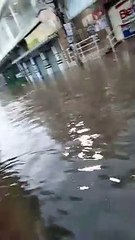 Porto de Santana, Cariacica