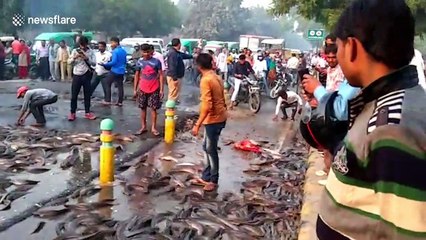 Live fish strewn across Indian road after transport truck topples over