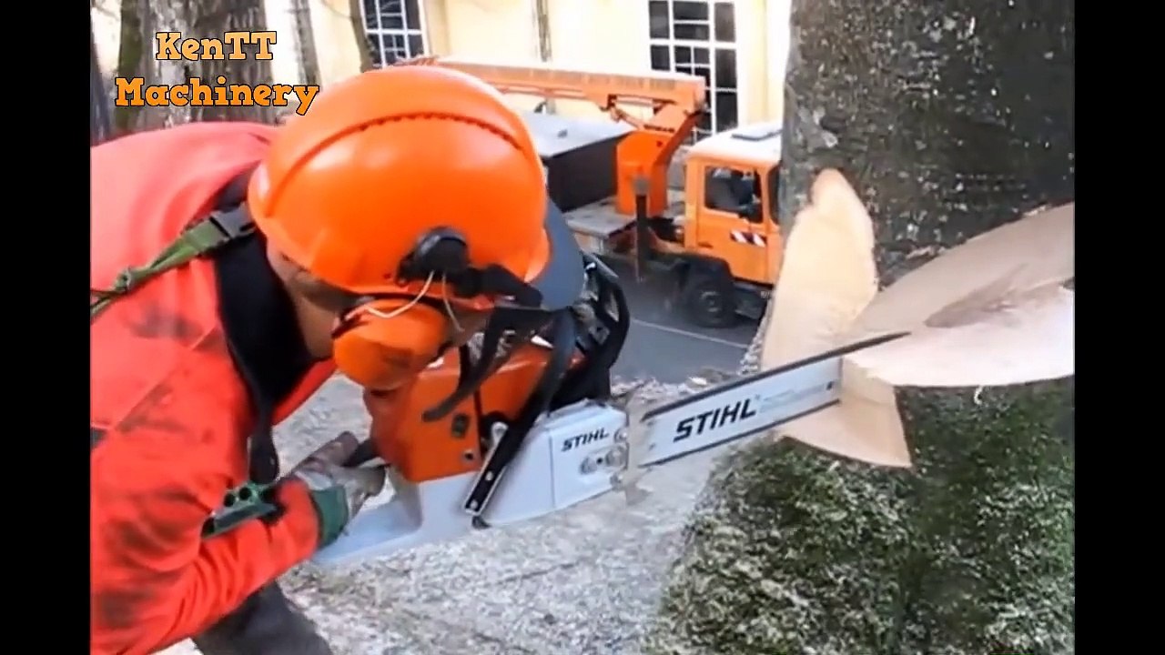 Amazing Easily Fastest Skill Felling Cutting Big Tree Chainsaw Turbo ...