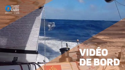 TRANSAT JACQUES VABRE INSIDE - Made in Midi - 13/11/2019