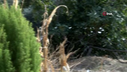 4 kişinin öldüğü olay sonrası acı tablo: Sinir krizleri geçirdiler