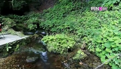 Priče o Sevdahu - Milena Ćeranić i Katarina Živković 26.08.2019.