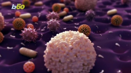 Bacteria May Join Forces to Become a Flesh-Eating Infection