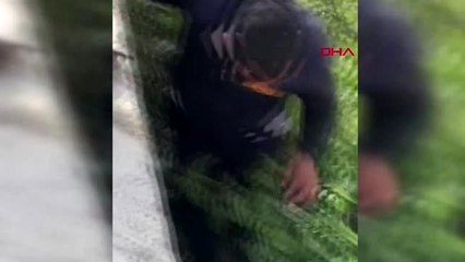 Van'da köpek ve kedilerin imdadına itfaiye ekipleri yetişti