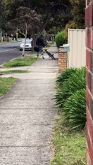 Free Bike Didn't Come with Riding Lessons