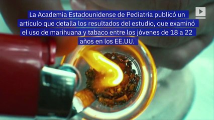 Estudio muestra un aumento del consumo de marihuana en adultos jóvenes
