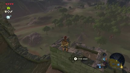 The Legend of Zelda: Breath of the Wild/korok seed 01