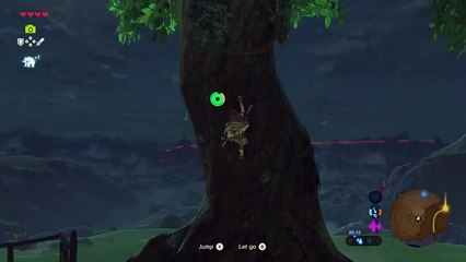 The Legend of Zelda: Breath of the Wild/korok seed 05