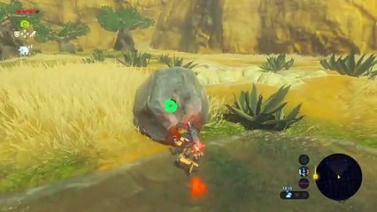 The Legend of Zelda: Breath of the Wild/korok seed 10