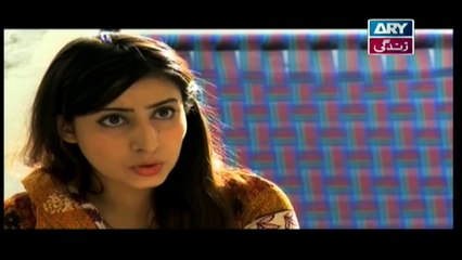 Mehmoodabad Ki Malkain Episode 244 & 245 - 13th November 2019