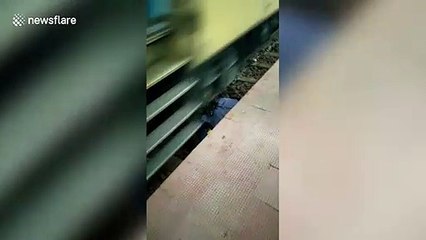 Tipsy man cheats death after falling onto train tracks in central India