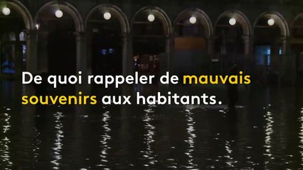 Italie : en 1966, Venise vivait une autre "Acqua alta" historique