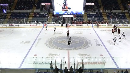 Springfield Thunderbirds vs Lehigh Valley Phantoms Highlights 11.13.19