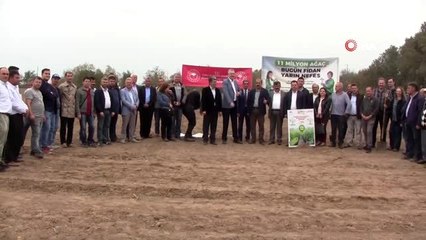 Karacabey meyve fidanı üssü oluyor