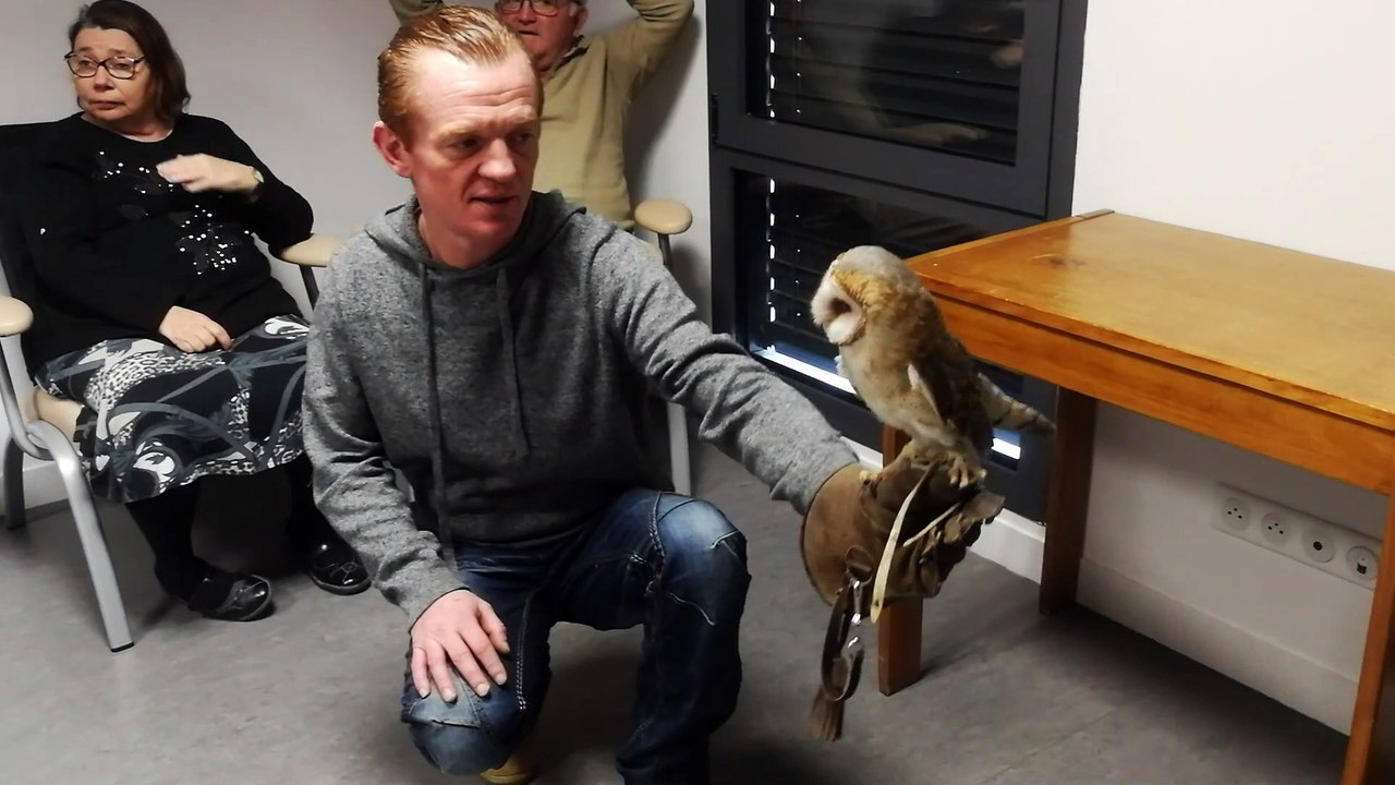 La "Chouette Thérapie", pour aider les personnes fragilisées, handicapées ou âgées