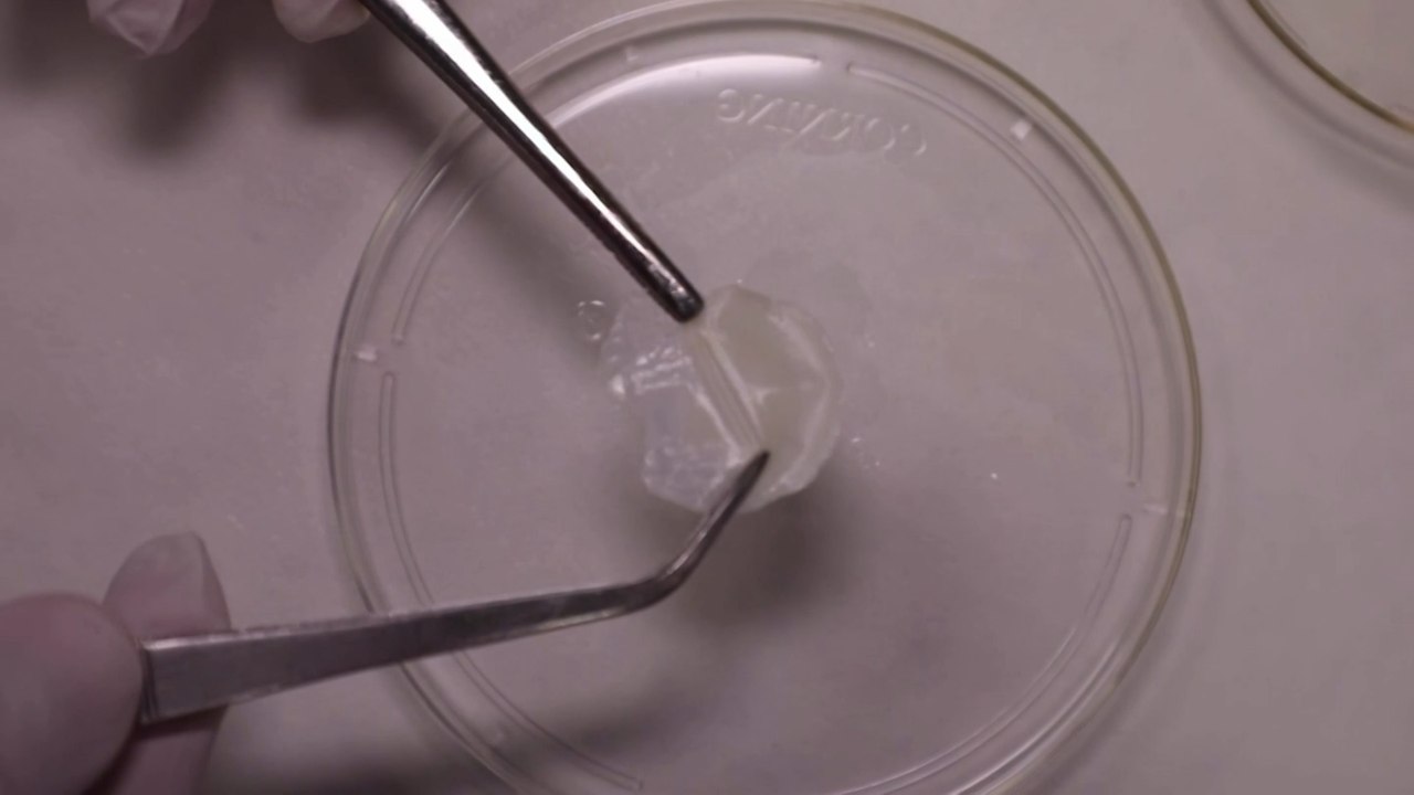 Singaporean Scientists Are Printing Human-Like Skin