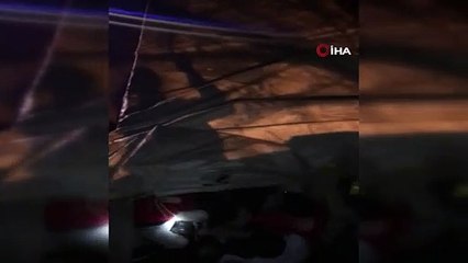 Koyun dedi, mülteci çıktı... Kaçak mülteciler jandarma uygulamasında yakalandı