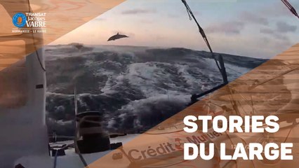 TRANSAT JACQUES VABRE - Les stories du large #Jour14/15/16 - 12/11/2019