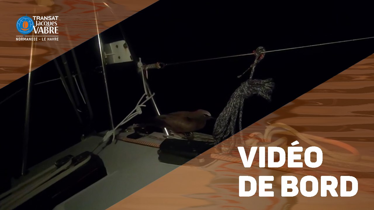 TRANSAT JACQUES VABRE INSIDE - Prendre la Mer, Agir pour la forêt - 13/11/2019