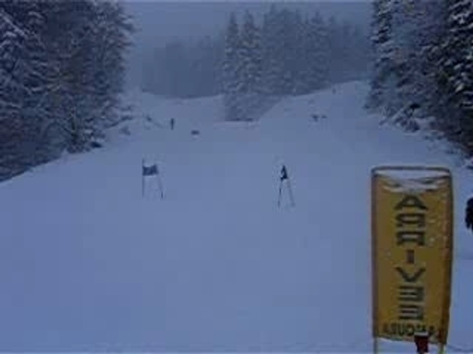 A_Chamole_on_sait_skier2