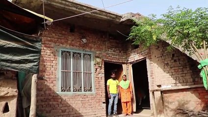 Talent rare : il sait monter aux arbres la tête à l'envers !