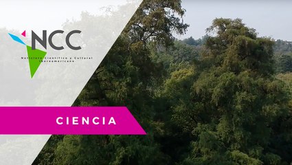 El me­jor par­que pú­bli­co del mun­do está en Mé­xi­co