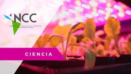 Científicos checos preparan una granja vegetal apta para Marte