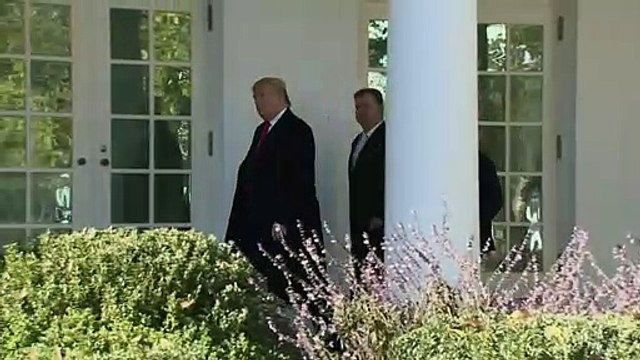 ‘Caças às bruxas’