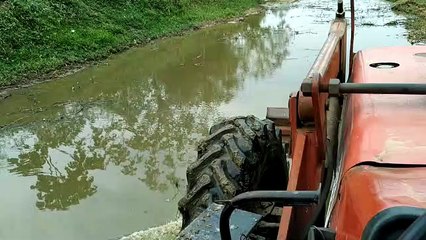 PANTANO LLENO DE COCODRILOS!