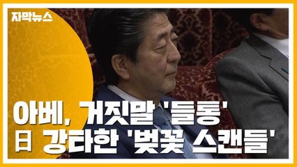 [자막뉴스] 아베, 거짓말 '들통'...일본 강타한 '벚꽃 스캔들' / YTN