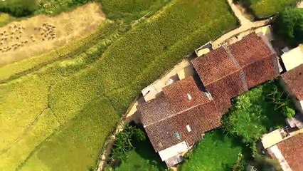 MISS WORLD 2019 I CONTESTANT INTRODUCTION I LƯƠNG THÙY LINH