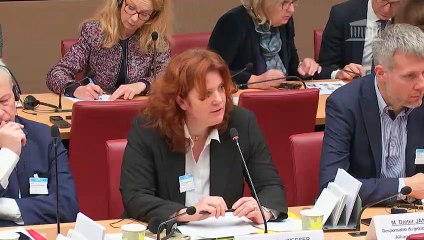 Commission des affaires économiques : Mercosur et industrie du futur - Mercredi 13 novembre 2019