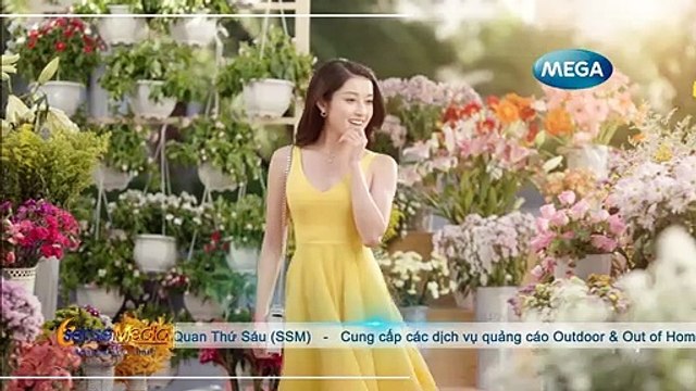 Quảng cáo trên 4 cánh cửa xe taxi Mai Linh tại Nghệ An - Thương hiệu Mega We Care