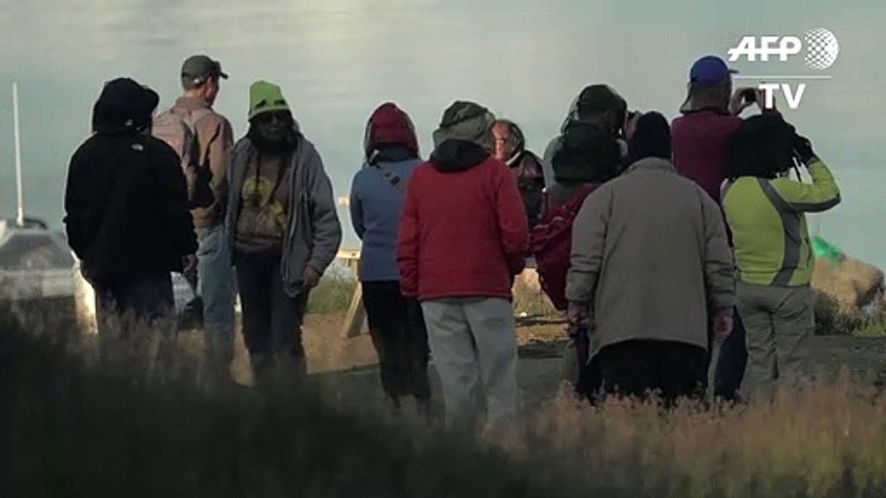 Grönland: Touristenboom auf Kosten der Natur?