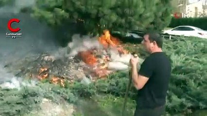 Ağaçlar alev alev yandı, yurttaş seferber oldu