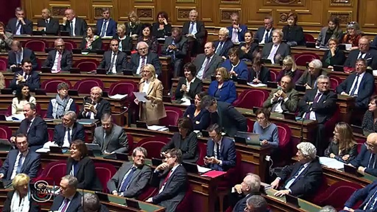 QAG - Nicole DURANTON "Je vous demande d'agir : vous pouvez modifier la politique commune de pêche. Il faut des règles strictes !"