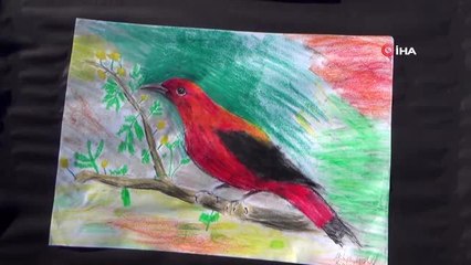 13 yaşındaki Melisa engelleri resimle aştı