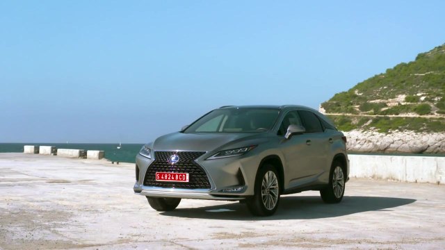 2020 Lexus RX 450h Luxury silver Trailer