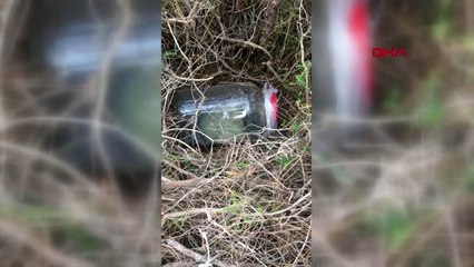 Adana ekonomiye zarar vermek için bombalı saldırı düzenleyeceklermiş