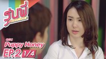 [Eng Sub] ซีรีส์รุ่นพี่ Secret Love | Puppy Honey | EP.2 [1/4]