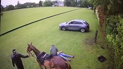 Un homme mis KO par un cheval