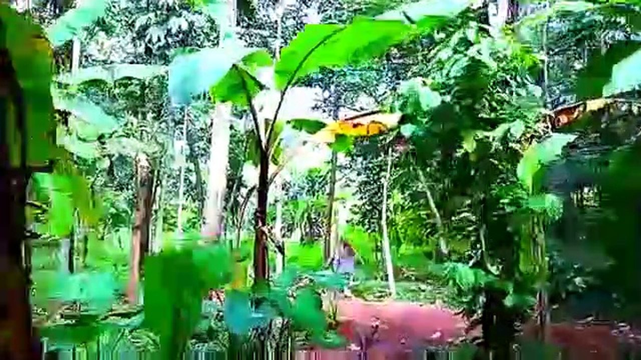 FRIENDSHIP - gondia, - गोंदिया ,- Tirora,- Tumsar, - Amgaon- kcssuentert ( 360 X 640 )
