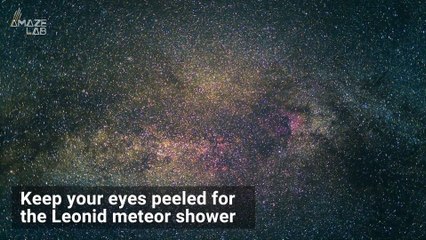 How to Watch the Leonid Meteor Shower This Weekend