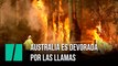 Los incendios forestales en Australia siguen creciendo y dejan cuatro muertos