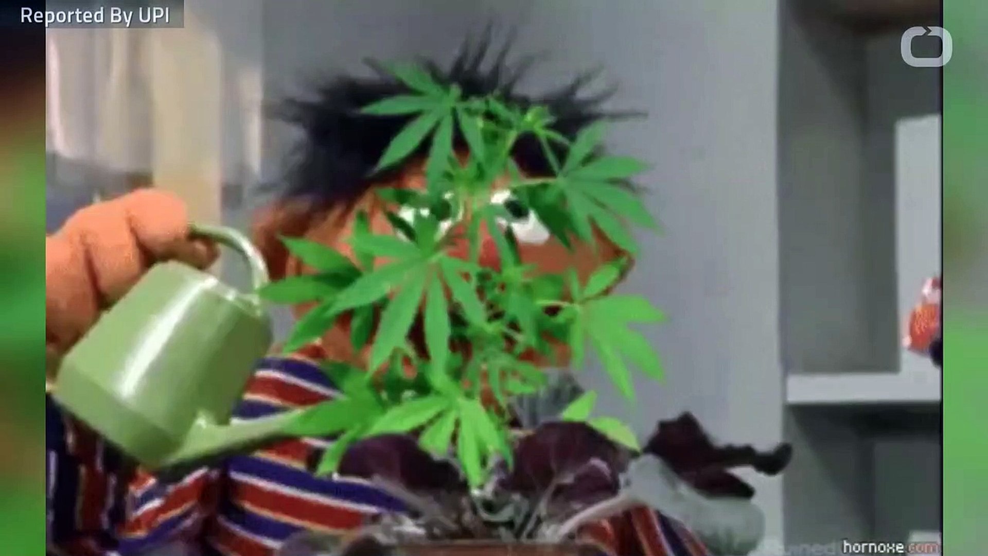 ⁣Legal Marijuana: Risk For Abuse Among Teens