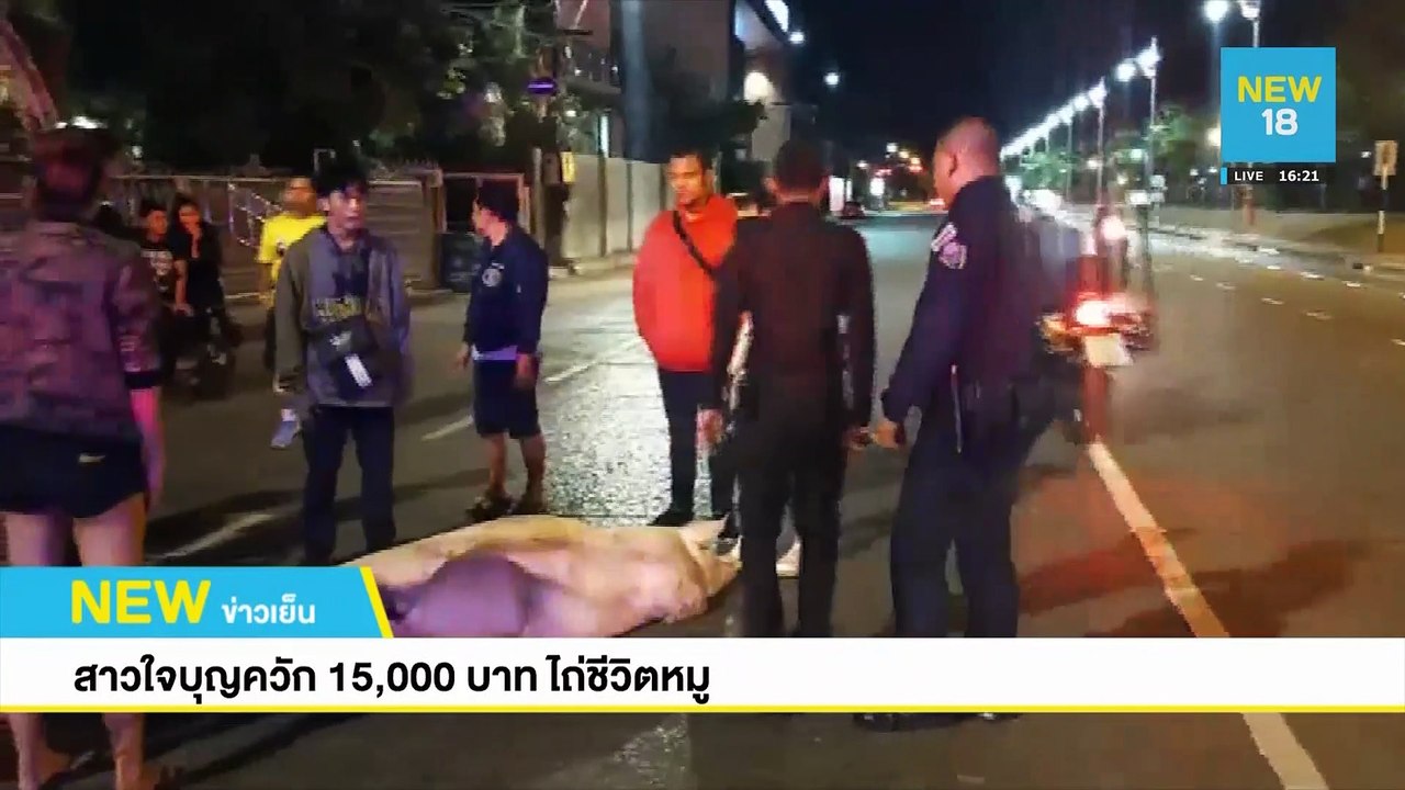 ชื่นชมน้องไอด้า นางฟ้าของหมาข้างถนน | NEW18