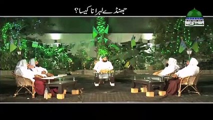 Jhande Lahrana Kaisa? | جھنڈے لہرانا کیسا؟ | Mufti Hassan Attari Al Madani