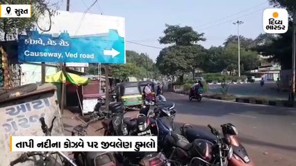 કોઝવે નજીક 15 દિવસ પહેલાના ઝઘડામાં ભાઈએ જ ભાઈને મોતને ઘાટ ઉતાર્યો